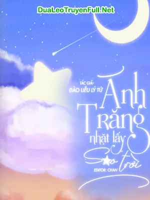 Ảnh bìa của Ánh Trăng Nhặt Lấy Sao Trời