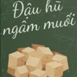 Đậu Hũ Ngâm Muối – Lưu Thủy Thủy