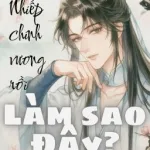 [ĐM] Lỡ Yêu Nhiếp Chính Vương Rồi, Làm Sao Đây?