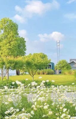 Ảnh bìa của [Song Tính] NGƯỜI THÀNH THẬT LUÔN BỊ CHÓ DỮ ÉP YÊU