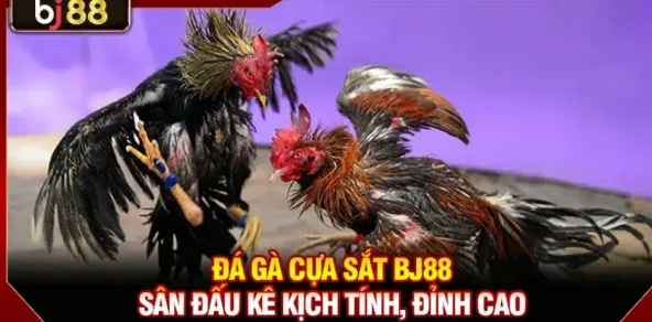 Ảnh minh họa: BJ88 Đá Gà Cách Bắt Nhịp Trận Đấu Và Dừng Đúng Lúc