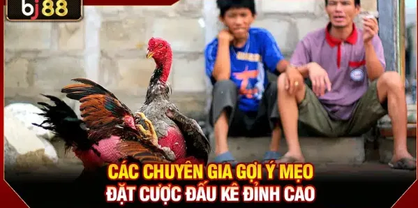 Ảnh minh họa: BJ88 Đá Gà Cách Bắt Nhịp Trận Đấu Và Dừng Đúng Lúc