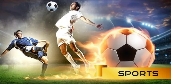Ảnh: Thể thao Win55 cập nhật nhiều môn thi đấu nổi bật trên thế giới