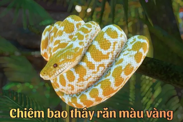 Ảnh: Khám phá điềm báo khi mơ thấy rắn
