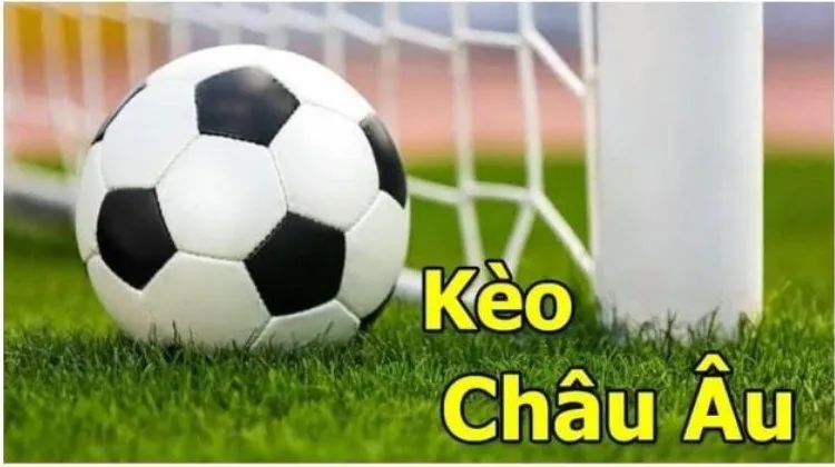 Ảnh: Tổng quan về kèo châu Âu tại Tỷ Lệ Bóng Đá