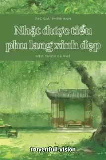 Ảnh bìa của Nhặt Được Tiểu Phu Lang Xinh Đẹp