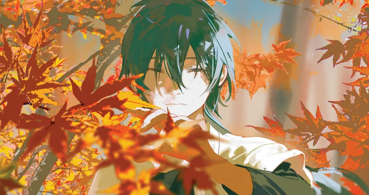 Lilica cover